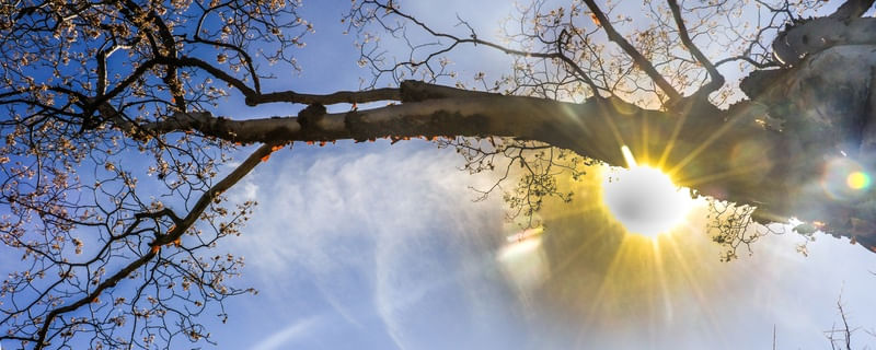 O SOL E O CÉU