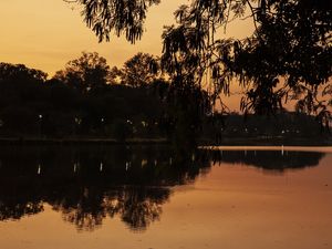 REFLEXO DAS ÁRVORES NO LAGO IGAPÓ