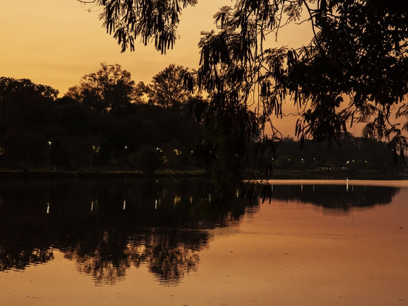 REFLEXO DAS ÁRVORES NO LAGO IGAPÓ
