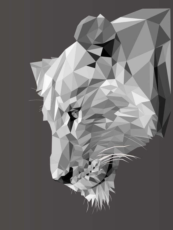 LEOA POR RICARDO LOPES