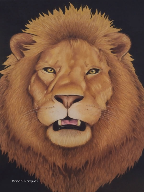 THE KING OF THE SAVANNA