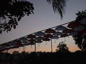 UMBRELLA 2