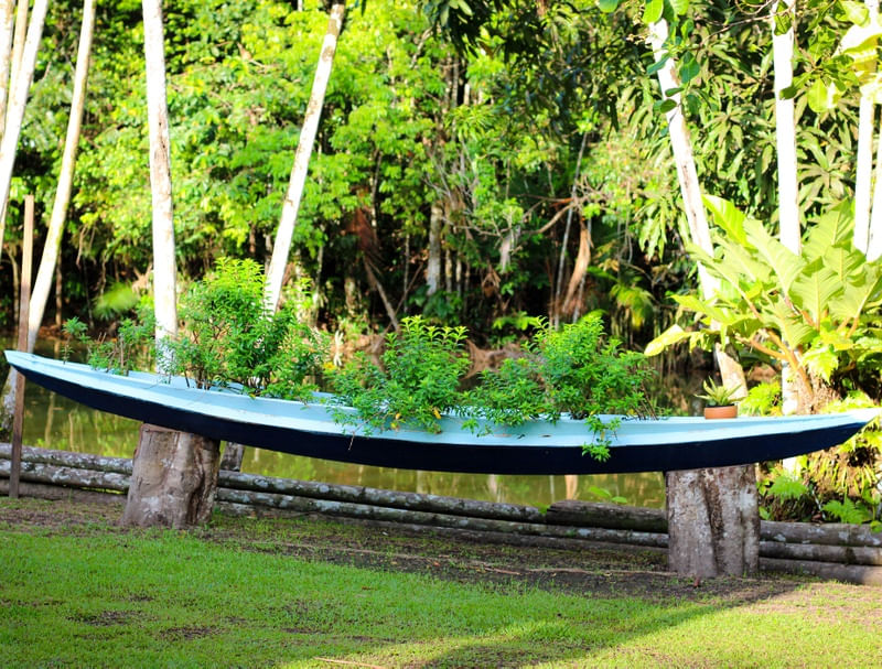 CANOA DESCANSA