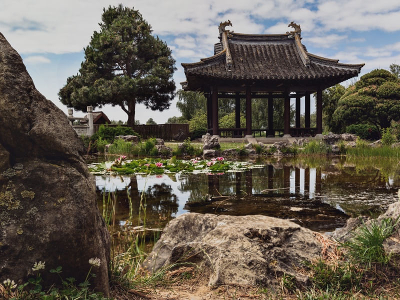JARDIM CHINES