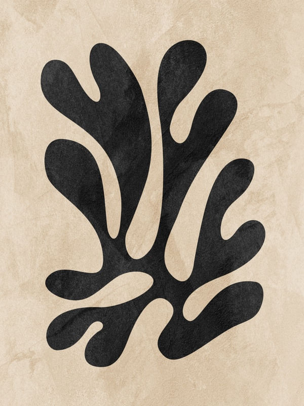 SERIÉ HENRI MATISSE - 07E
