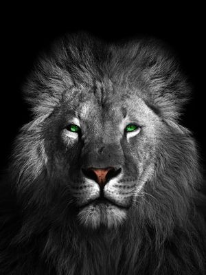 LION GREEN - 02A