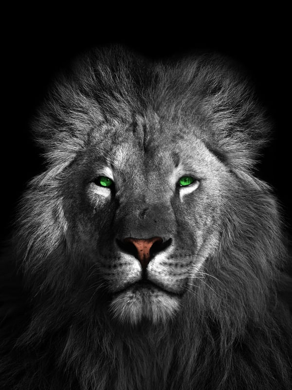 LION GREEN - 02A
