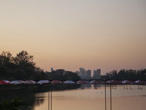 A PAISAGEM DOS GUARDA CHUVAS AO AMANHECER