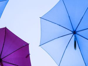 AS LINHAS E CORES DAS SOMBRINHAS URBANAS ROXO E AZUL