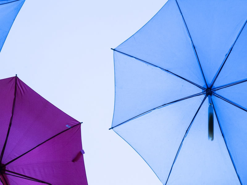 AS LINHAS E CORES DAS SOMBRINHAS URBANAS ROXO E AZUL