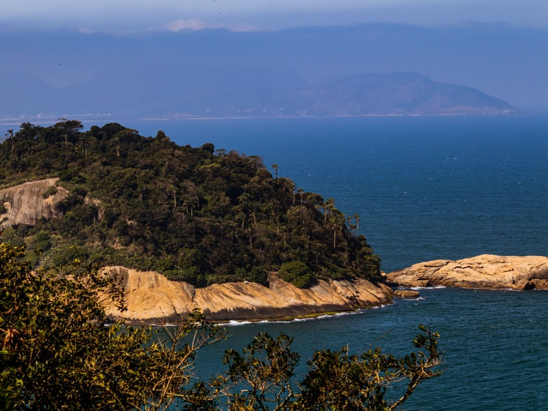 ILHA E PALMEIRAS