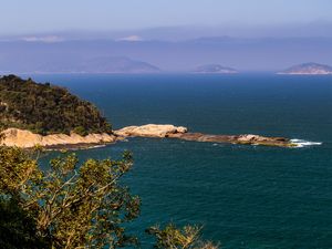 ILHA E PALMEIRAS II