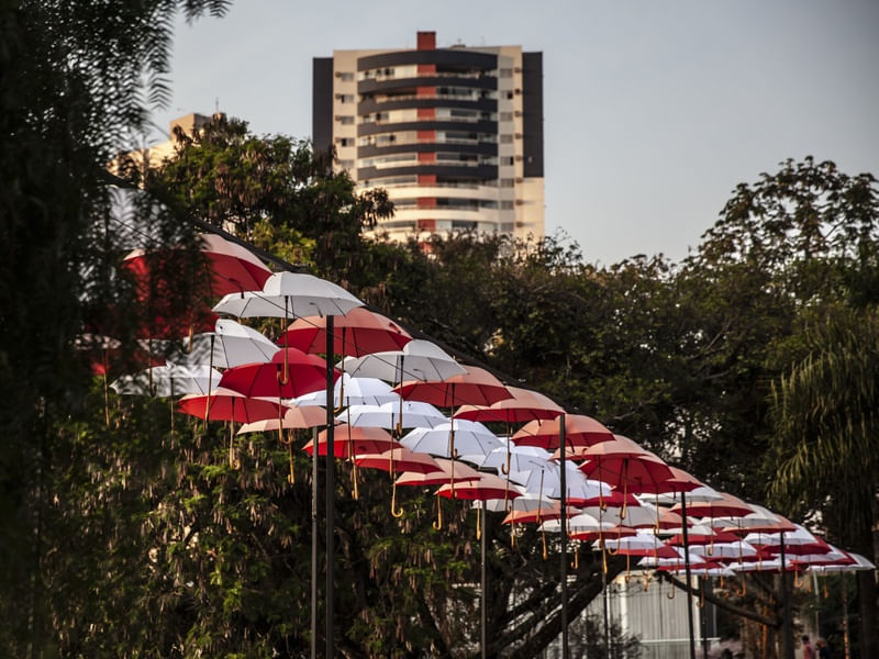 OS GUARDA CHUVAS DA PONTE LONDRINA