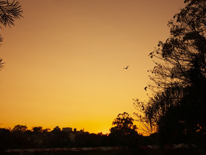 O CEU AMARELO PAISAGEM