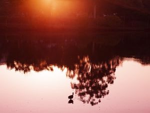 O REFLEXO DO CEU ROSADO NAS ÁGUAS DO IGAPO