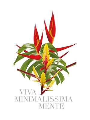 VIVA MINIMALISSIMAMENTE TROPICAL