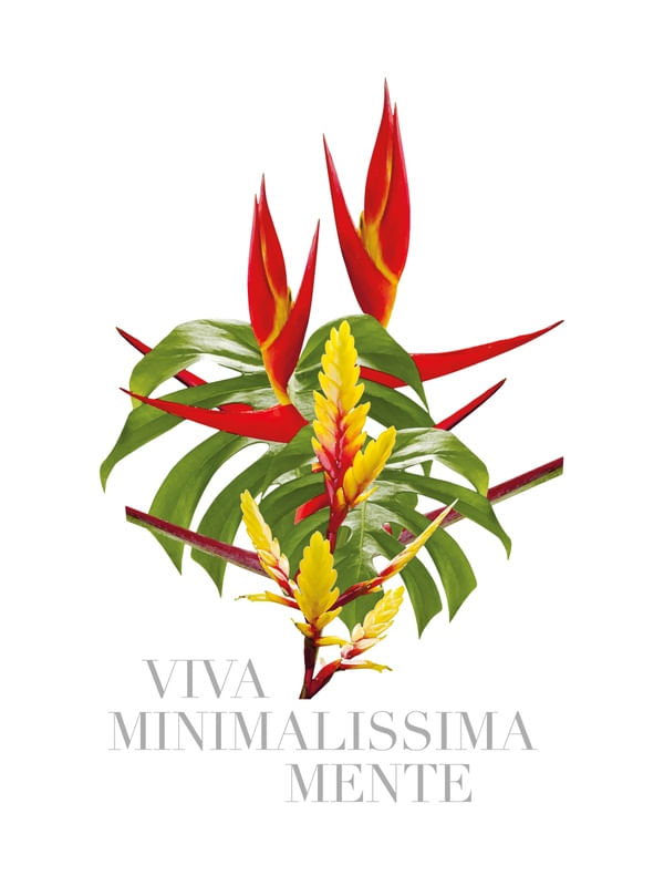 VIVA MINIMALISSIMAMENTE TROPICAL