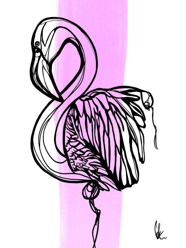 FLAMINGO PINK MINIMALISTA