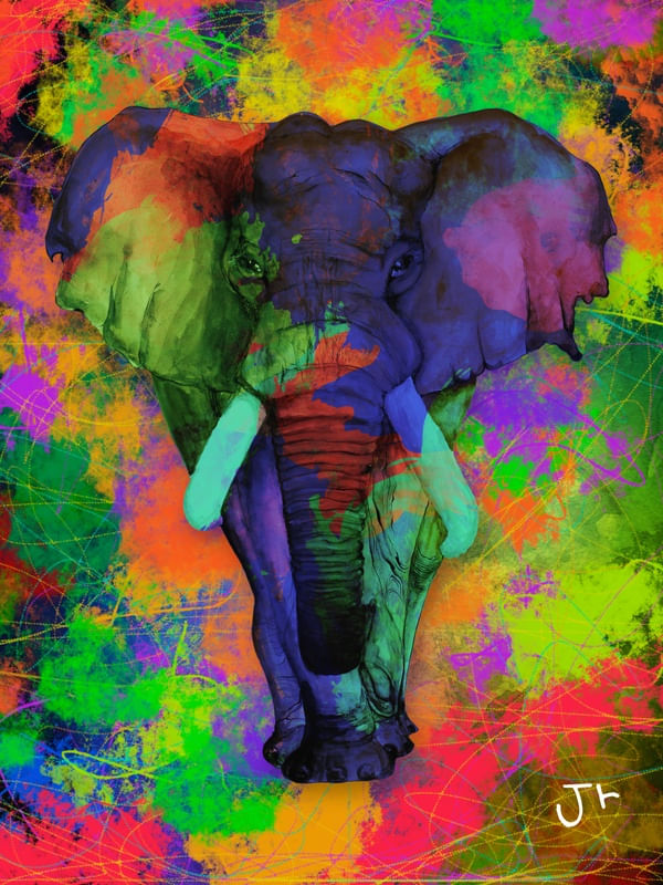 ELEFANTE COLOR