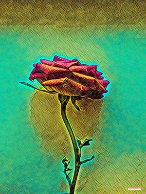 A ROSA BY GUSTAVO BARIZON