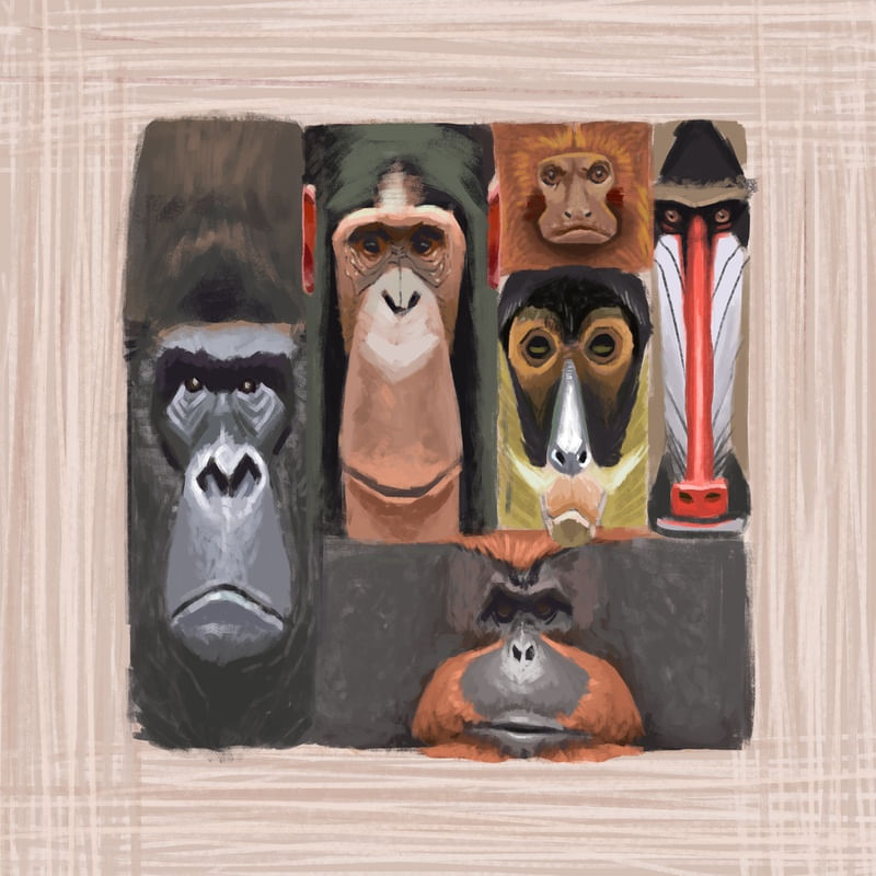 MACACOS CABEÇAS
