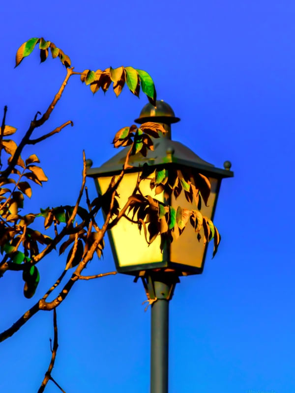ILUMINANDO STREET LIGHT