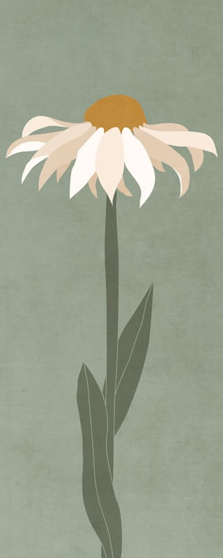 MINIMAL ART - FLOWER 01