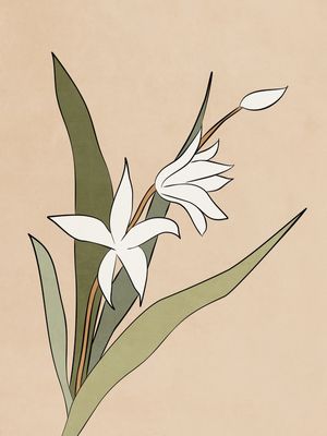 TROPICAL ART - FLOWERS 05