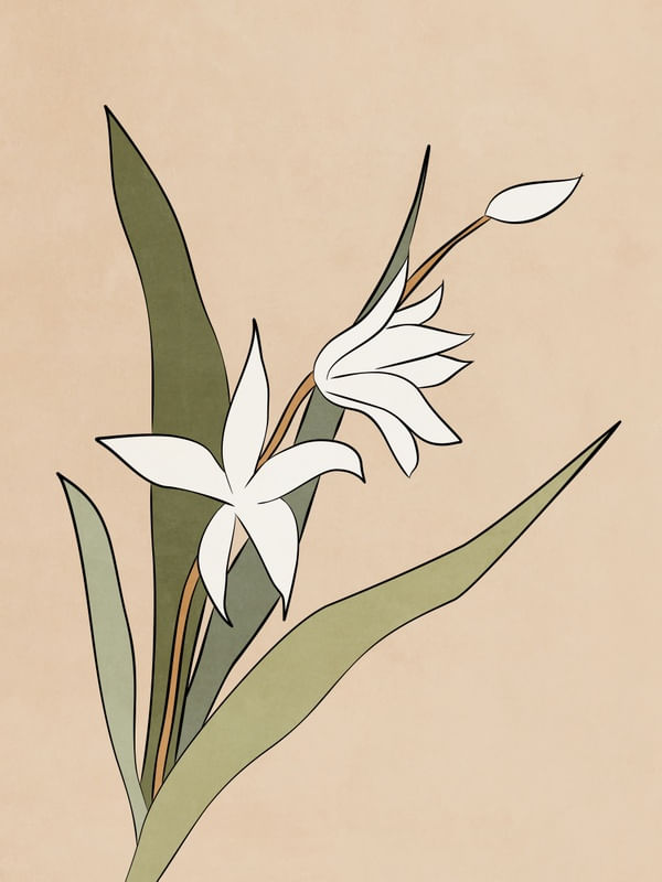 TROPICAL ART - FLOWERS 05