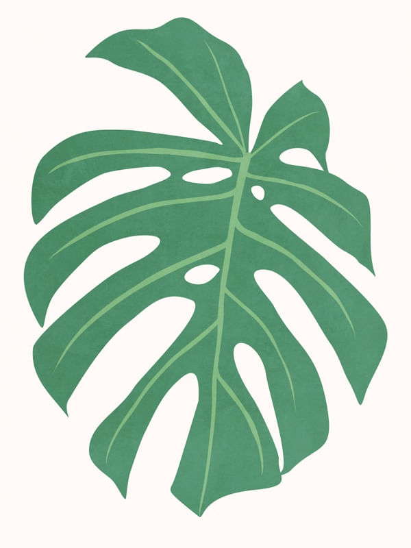 MINIMAL TROPICAL ART - MONSTERA 01