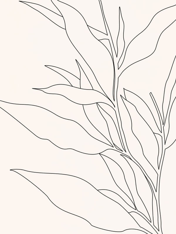 LINE ART - LEAVES 11