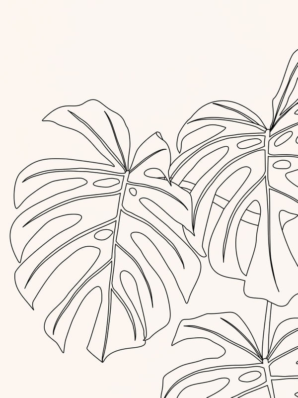 LINE ART - MONSTERA 01