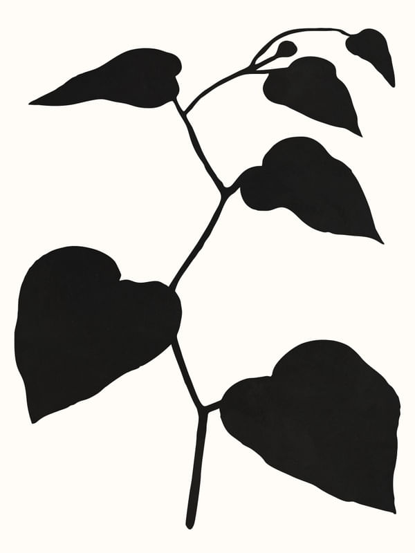 MINIMAL ART - LEAVES 03