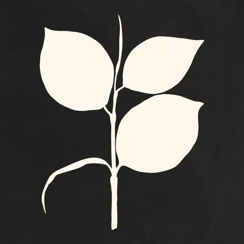 MINIMAL ART - LEAVES 05