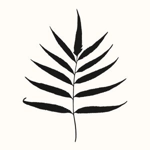 MINIMAL ART - LEAVES 08