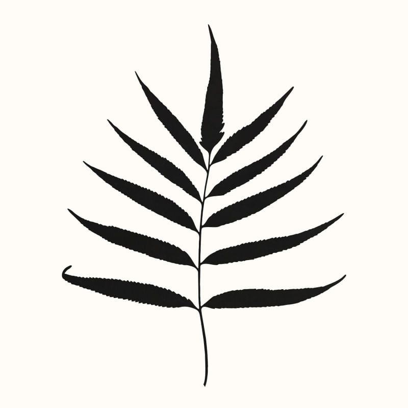 MINIMAL ART - LEAVES 08