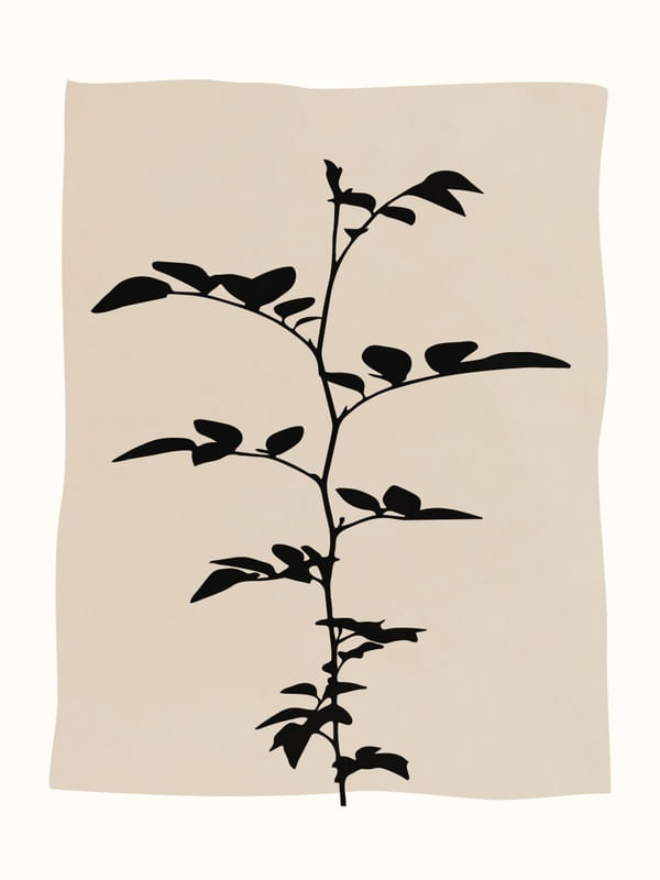 MINIMAL ART - LEAVES 11