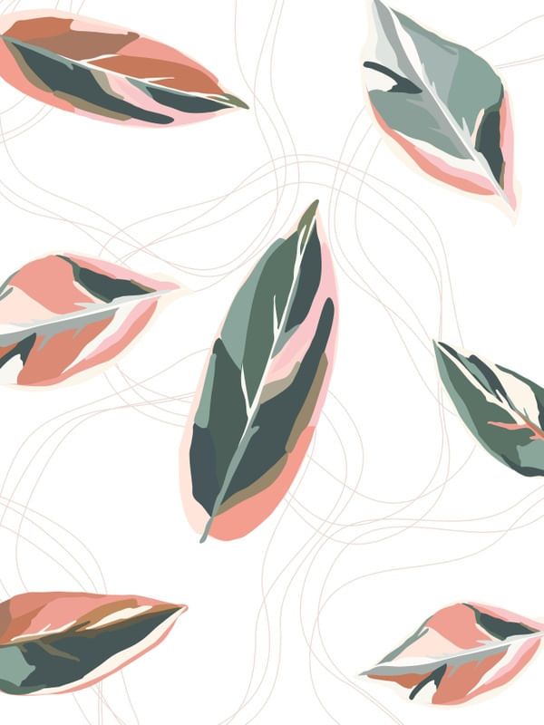 MARANTA 2