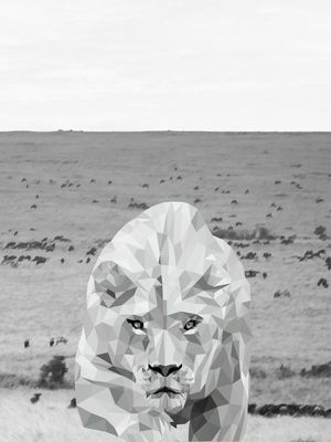 SAVANA DA LEOA
