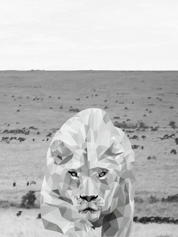 SAVANA DA LEOA
