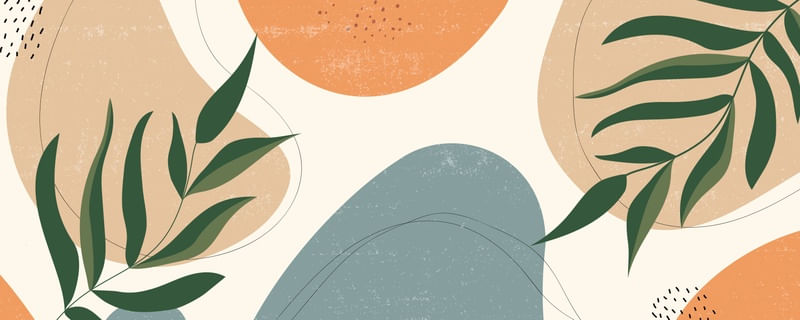 SOLAR ORGANICO 4