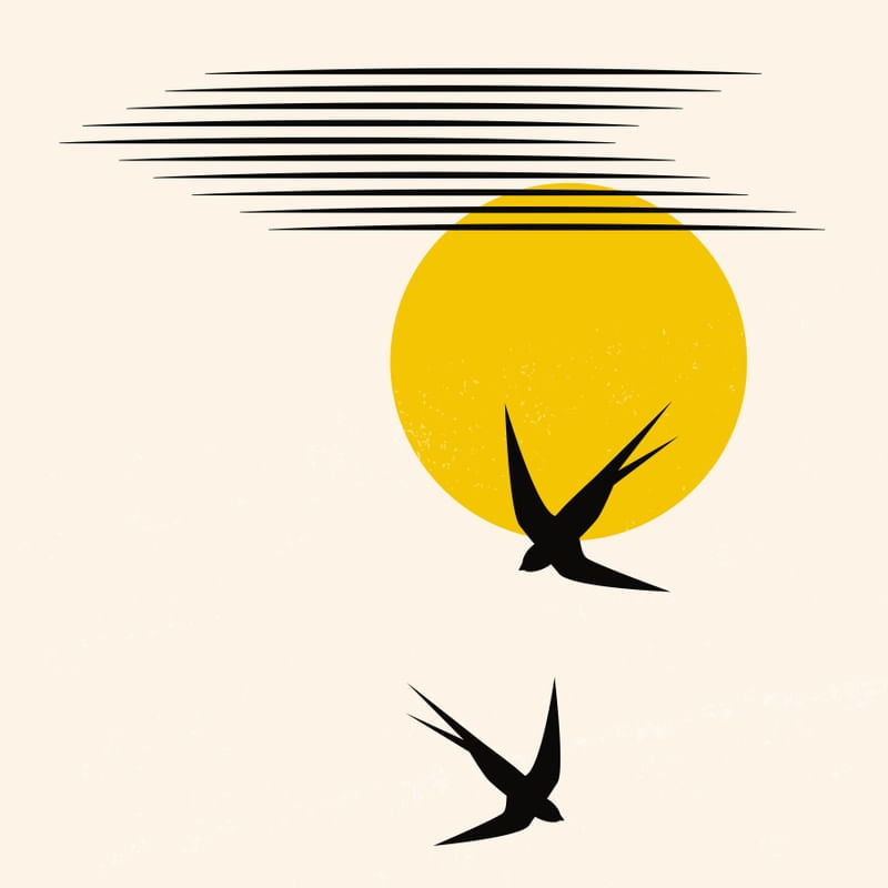 PASSAROS AO SOL