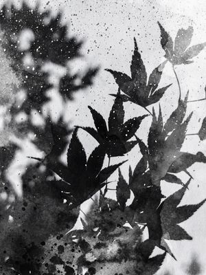LEAVES #3