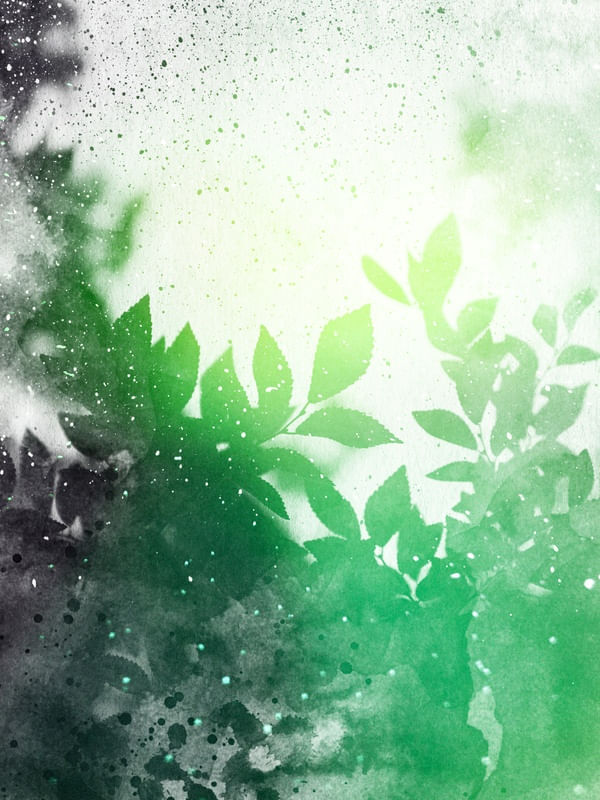 LEAVES #1 CLRS