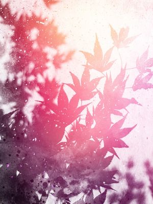 LEAVES #3 CLRS