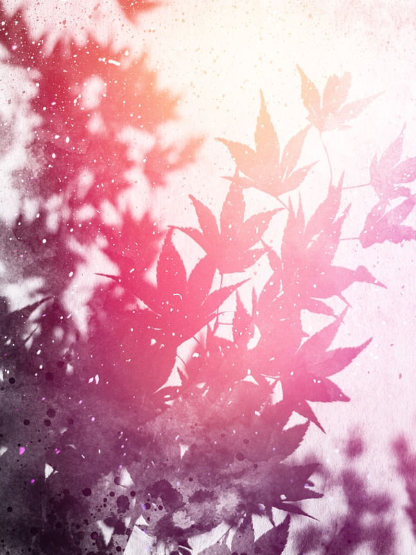 LEAVES #3 CLRS