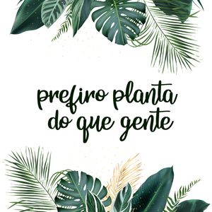 PREFIRO PLANTA