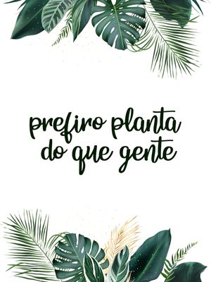 PREFIRO PLANTA 2