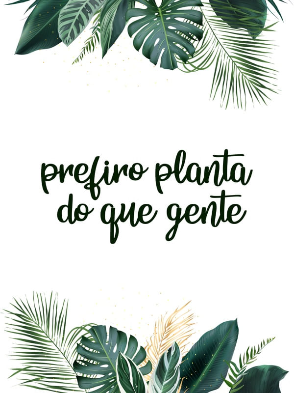 PREFIRO PLANTA 2