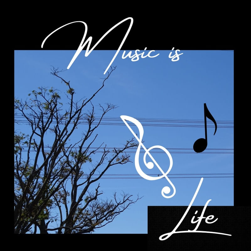 MUSIC IS MY LIFE